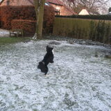 ooooh wat zit daar in de lucht