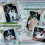 Sammeke, kleine baby...