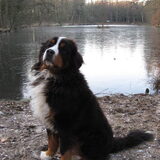 Foto van Carla