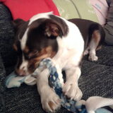 Luna is er heeeel blij mee!