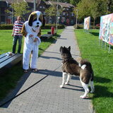 Ontmoeting met een hele rare hond XD