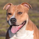 Foto van K.elly->T.yson&K.ena