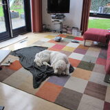 Foto van Dewi & de doodles