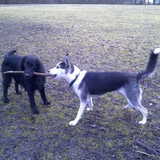 Met grote vriendin Sky