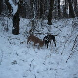 Foto van K.elly->T.yson&K.ena