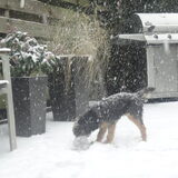 Voor Amber de eerste sneeuw.