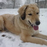 Foto van Julie & Yucca <3