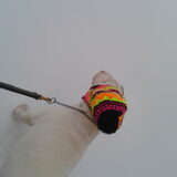 In de sneeuw met een mooie muts!