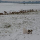 Wandelen in de sneeuw!