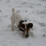 Wandelen in de sneeuw!