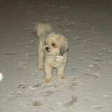 Foto van Melissa, Dempsey, Taiko, Minos & *Nina*