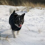 knappe max