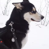 Aika in de sneeuw