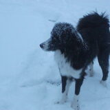 mijn sneeuwkopje!