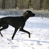 maya 's eerste sneeuw kennismaking