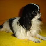 Onze kleine Flo.