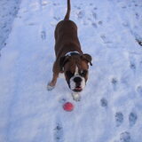 sneeuwpret