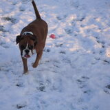 sneeuwpret