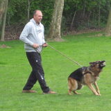 Levi eerste pakwerk training.