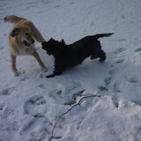 Foto van Julie & Yucca <3