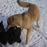 Foto van Julie & Yucca <3
