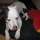 Foto van alex en lady