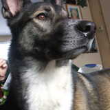 mijn mooie Mika :-)
