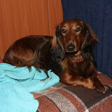 Foto van Alice en Finn