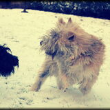 Foto van Goele & Cas
