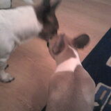 jazzy en sammy