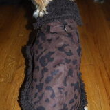 Foto van Sylvia Groot