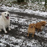 Maya, James en Bo