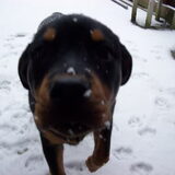 brrrrrrrrr dat spul is koud