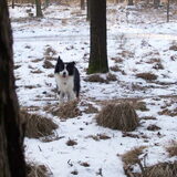 lekkere wandeling gemaakt..