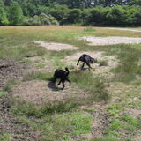 In't bos en Joy in haar dolle 5 minuten;)