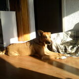 Zonnig type :)