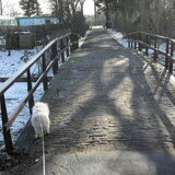 Foto van Gina Heuvelsland
