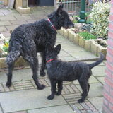 Babbe met haar grote vriendin Aika.