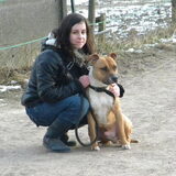 Samen met Darco (ex-asielhondje)