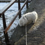 Foto van Gina Heuvelsland