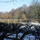 Foto van Gina Heuvelsland
