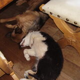 relax bij wanda