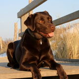 Op het strand van Vlissingen