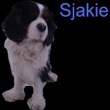 Foto van julia en spike