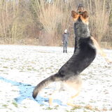 Jump!