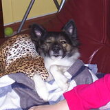 Lucky die ligt te gluren met 1 oog