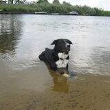 lekker zitten in het water