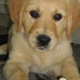 Lila een paar dagen bij ons (juli 2011)