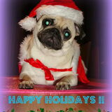 Xmasscard design 2011