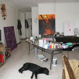 Mijn hondjes storen zich niet aan de chaos in mijn atelier in S.A.